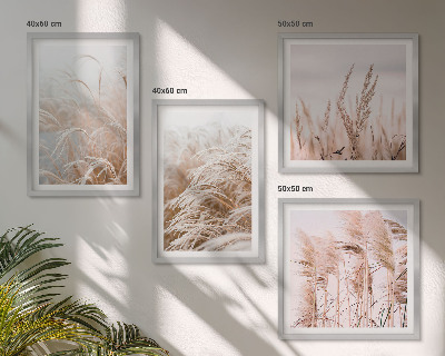 Set of 4 wall art pieces Fields of grass in shades of brown and beige