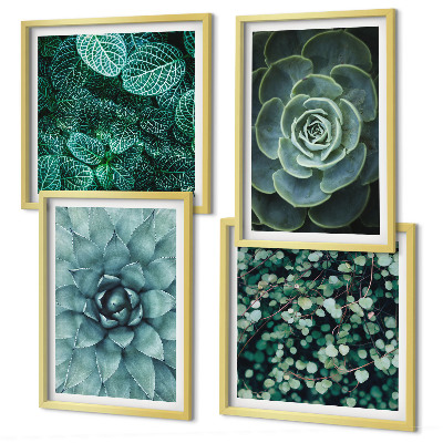 Set of 4 wall art pieces Succulents in green and turquoise