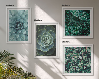 Set of 4 wall art pieces Succulents in green and turquoise