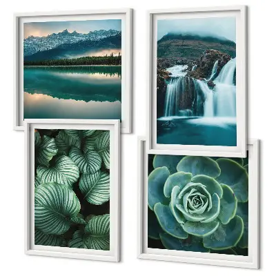 Multi-piece succulent wall decor set featuring close-up leaf photography