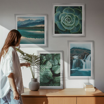 Multi-piece wall decor set Close-ups of succulent plants leaves