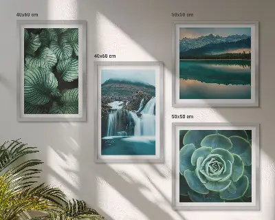 Multi-piece succulent wall decor set featuring close-up leaf photography