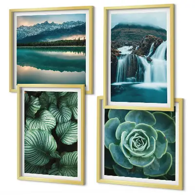 Multi-piece succulent wall decor set featuring close-up leaf photography