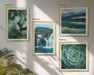 Multi-piece succulent wall decor set featuring close-up leaf photography