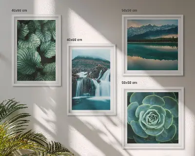 Multi-piece succulent wall decor set featuring close-up leaf photography