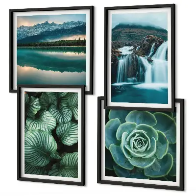 Multi-piece succulent wall decor set featuring close-up leaf photography