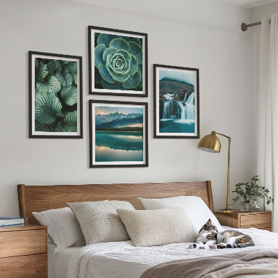 Multi-piece wall decor set Close-ups of succulent plants leaves