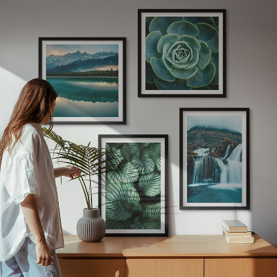 Multi-piece wall decor set Close-ups of succulent plants leaves