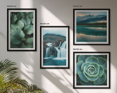 Multi-piece wall decor set Close-ups of succulent plants leaves