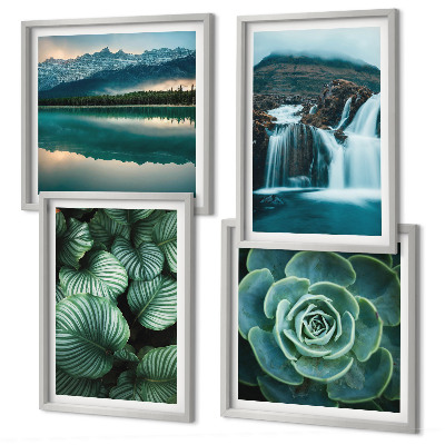 Multi-piece wall decor set Close-ups of succulent plants leaves