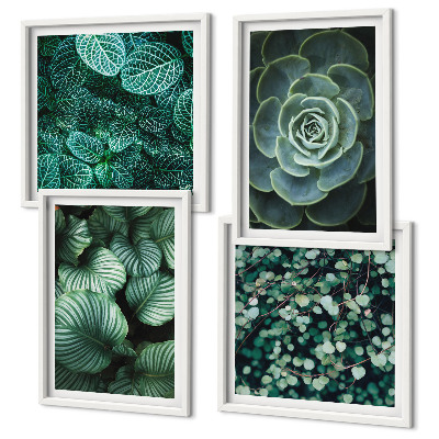 Multi-piece wall decor set Green leaves of stylish succulents