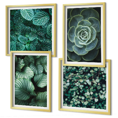Multi-piece wall decor set Green leaves of stylish succulents