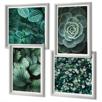 Multi-piece wall decor set Green leaves of stylish succulents