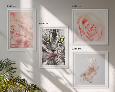 Set of 4 wall art pieces Gray cat roses abstract