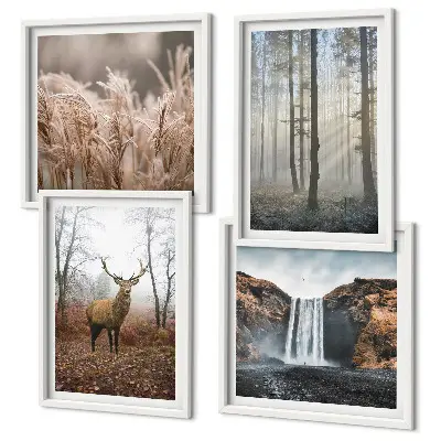 Multi-piece wall decor set featuring forest landscapes of wild nature
