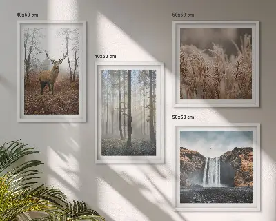 Multi-piece wall decor set featuring forest landscapes of wild nature