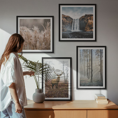 Multi-piece wall decor set Forest landscapes of wild nature