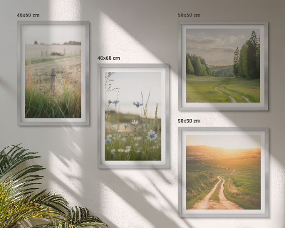 Wall art set Landscapes nature fields sun