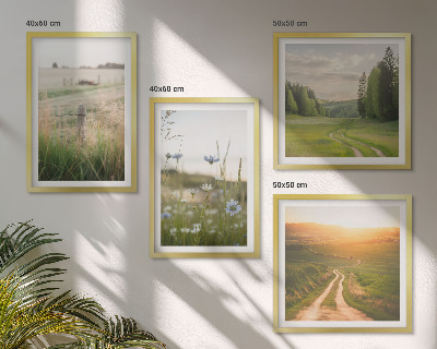 Wall art set Landscapes nature fields sun