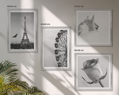 Wall art set Rose Eiffel Tower Horse Ferris Wheel B&W