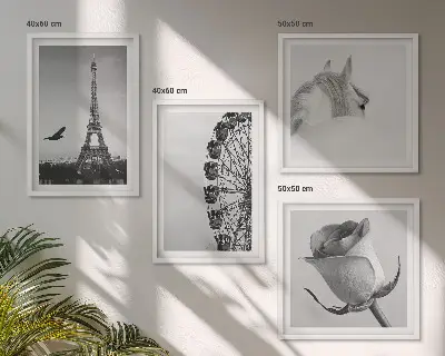 Wall art set featuring a rose, Eiffel Tower, horse, and Ferris wheel in black and white