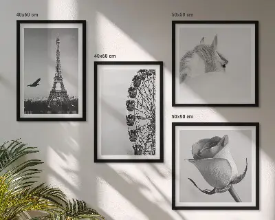 Wall art set featuring a rose, Eiffel Tower, horse, and Ferris wheel in black and white