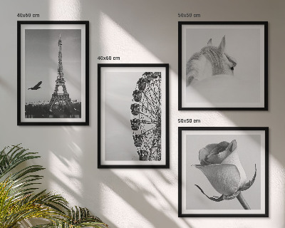 Wall art set Rose Eiffel Tower Horse Ferris Wheel B&W