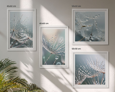 Multi-piece wall decor set Water drops on dandelion shoots