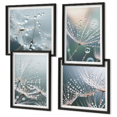 Multi-piece wall decor set Water drops on dandelion shoots