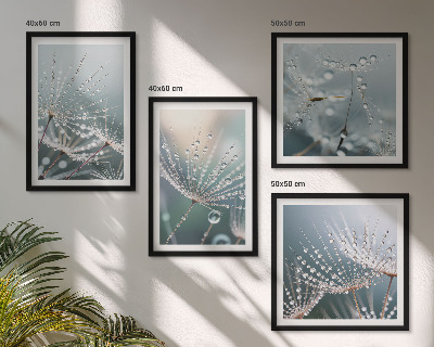 Multi-piece wall decor set Water drops on dandelion shoots