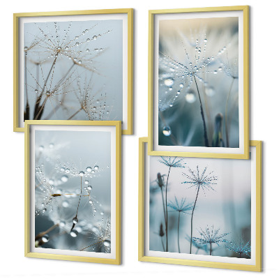 Wall art set Dewdrops on dandelions
