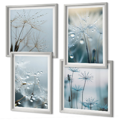 Wall art set Dewdrops on dandelions