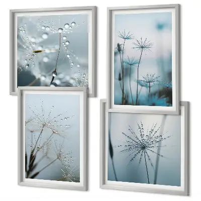 Dandelion water drops wall art set of 4 pieces