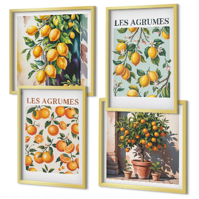 Wall art set Fruity citrus patterns