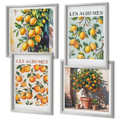 Wall art set Fruity citrus patterns