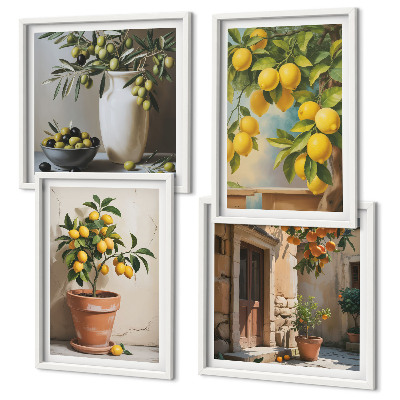 Set of 4 wall art pieces Lemon trees in pots