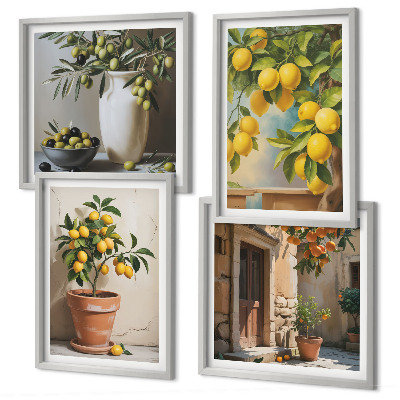 Set of 4 wall art pieces Lemon trees in pots