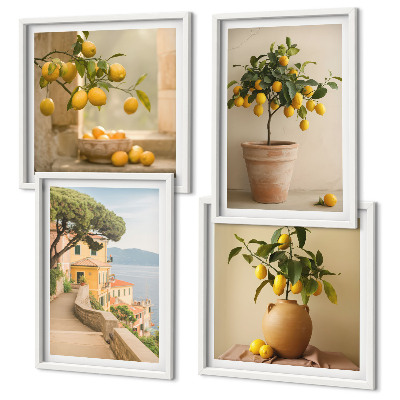 Wall art set Lemon trees in pots