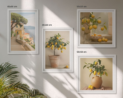 Wall art set Lemon trees in pots