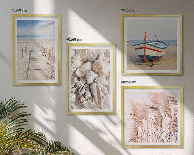 Multi-piece wall decor set Beach boat shells grass boho
