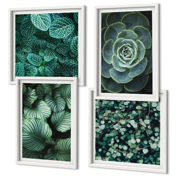 Set of 4 wall art pieces Green succulent leaves