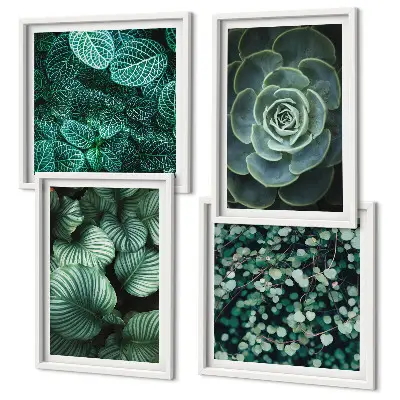 Green succulent leaves wall art set of 4 pieces