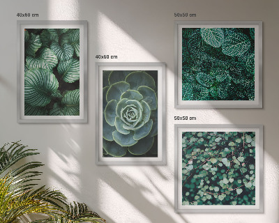 Set of 4 wall art pieces Green succulent leaves