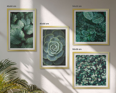 Set of 4 wall art pieces Green succulent leaves