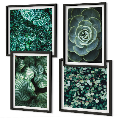Set of 4 wall art pieces Green succulent leaves