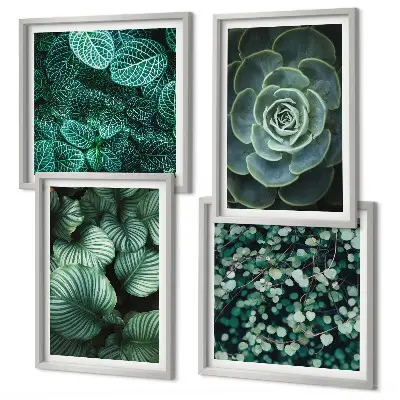 Green succulent leaves wall art set of 4 pieces