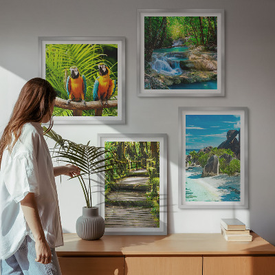 Set of 4 wall art pieces Tropical forest parrot waterfall