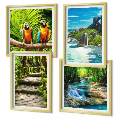 Tropical forest parrot waterfall wall art set of 4 pieces
