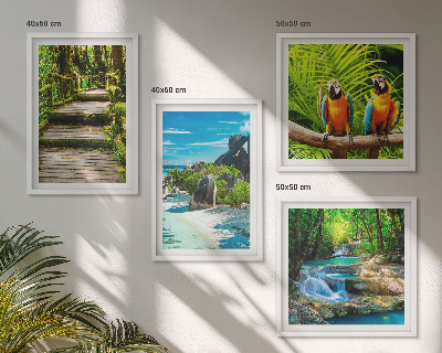 Set of 4 wall art pieces Tropical forest parrot waterfall