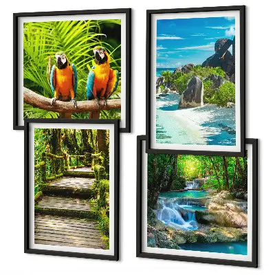 Tropical forest parrot waterfall wall art set of 4 pieces